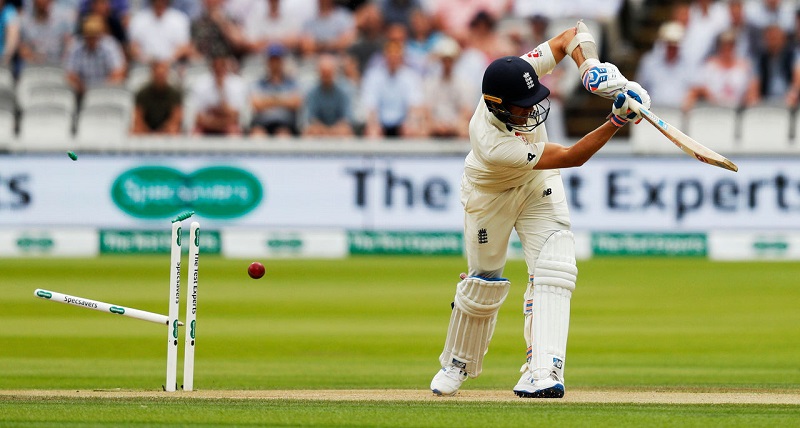 huong-dan-su-dung-gay-cricket-1